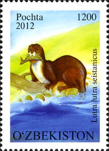 Eurasian Otter (Lutra lutra ssp. seistanicus)