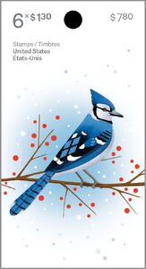 Blue Jay