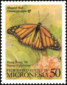 Monarch Butterfly (Danaus plexippus)