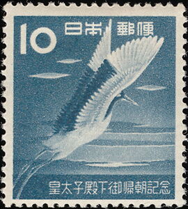 Red-crowned Crane (Grus japonensis)