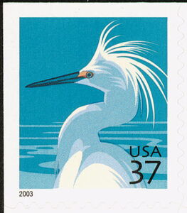 Snowy Egret (Egretta thula)