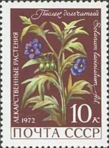 Kangaroo Tea (Solanum Laciniatum Aiton)