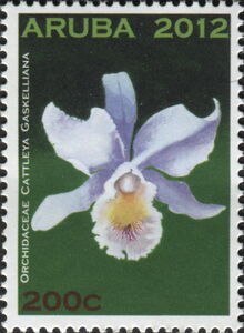 Cattleya gaskelliana