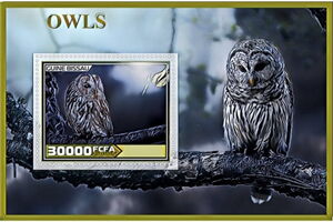 Fauna Owls