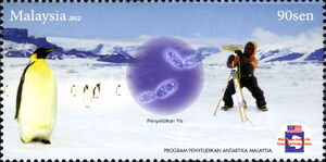 Emperor Penguin (Aptenodytes forsteri), Yeast Fungus, Resear
