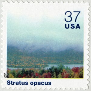 Stratus Opacus