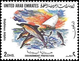 Common Dolphin (Delphinus delphis)