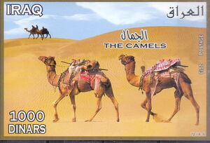 Two Camels