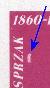 Marcin Kasprzak (1860-1905)