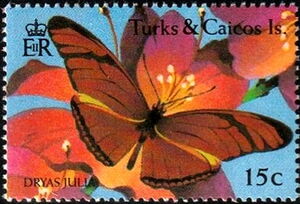 Flambeau (Dryas iulia)