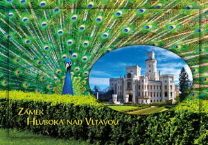 Hluboká nad Vltavou. Peacock