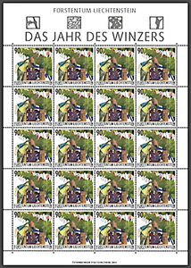 Thinning Out of Vines (August)