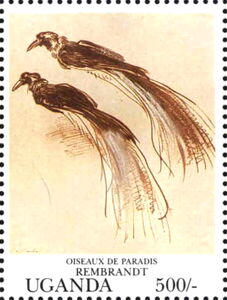 Birds of Paradise