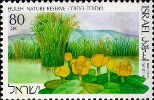 Huleh Nature Reserve
