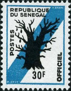 Baobab