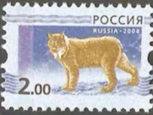 Eurasian Lynx (Lynx lynx)