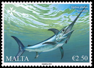 Swordfish (Xiphias gladius)