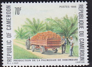 Coconut Farming, Didombari