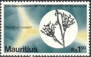 Discovery of Penicillin