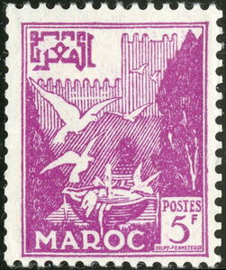 Vasque pigeon