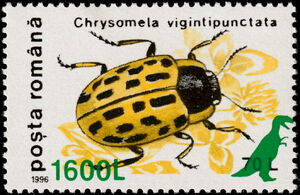 Willow Leaf Beetle (Chrysomela vigintipunctata) Overprinted