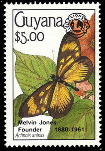 Anteas Actinote (Actinote anteas) overprinted Lions