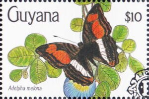 Adelpha melona overprinted with part of the Lions symbol