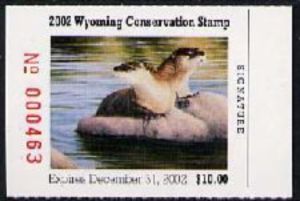 River otter (Lontra canadensis)