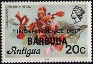 Flamboyant Tree (Delonix regia) - Overprinted