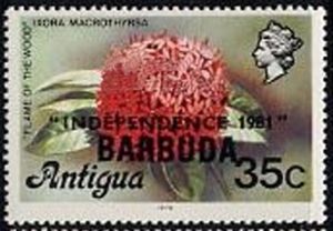 Flame of the Woods (Ixoria macrothyrsa) - Overprinted