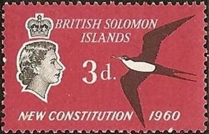 Great Frigatebird (Fregata minor)