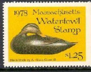 American black duck (Anas rubripes) decoy