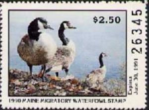 Canada goose (Branta canadensis)