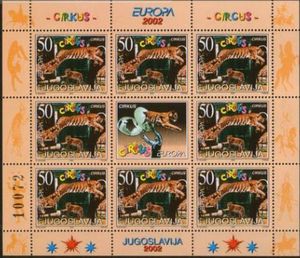 Tiger (Panthera tigris)