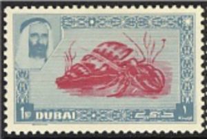 Hermit Crab (Pagurus bernhardus)