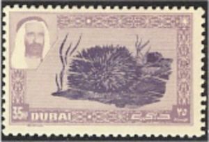 Long-spined Sea Urchin (Diadema saxatilis)