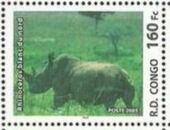 Ceratotherium simum cottoni