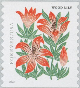 Wood Lily