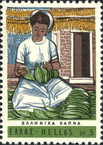 Scientific Tobacco Congress - Sorting out tobacco leaves