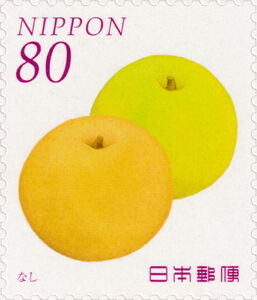 Japanese Pears (Pyrus pyrifolia)