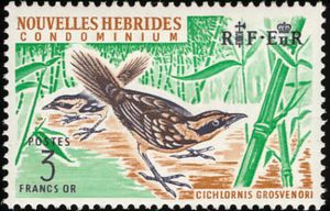 Guadalcanal Thicketbird (Cichlornis grosvenori)