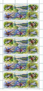 Fauna - Damselflies and Dragonflies