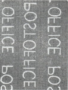 Laughing Gull (Larus atricilla)