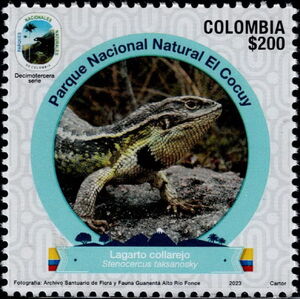 Stenocercus taksanosky