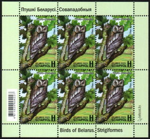 Eurasian Scops Owl (Otus scops)