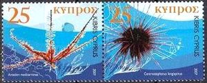 Echinodermata of Cyprus