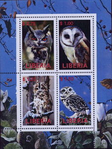 Owls