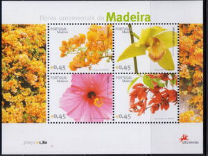 Madeira Flowers