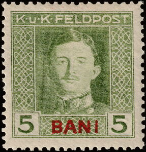 Emperor Karl I (1887-1922) overprinted in BANI