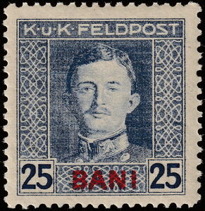 Emperor Karl I (1887-1922) overprinted in BANI